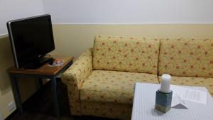 Televízia a/alebo spoločenská miestnosť v ubytovaní Hotel am Wasserturm