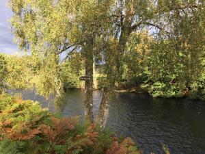 a tree with a sign in the middle of a river at The Tomich Hotel in Inverness +6 photos