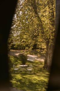 a table and chairs in the grass under a tree at Château Fonroque - Camomille in Saint-Émilion