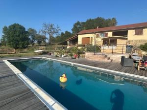 a rubber duck floating in a swimming pool at Bel-Air des Collines in Saint-Martin-dʼAoût