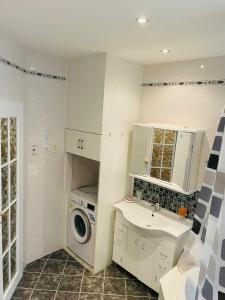 a laundry room with a washing machine and a sink at Residenz Emilia in Mariánské Lázně +24 photos