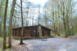a small cabin in the middle of the woods at Le Renard - Oignies 50 in Petit Mesnil