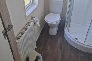 a small bathroom with a toilet and a shower at 2 Bed Caravan - Sleeps 6 - Pets - Pool - Parking in Newquay