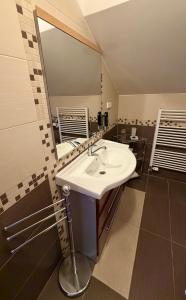 a bathroom with a sink and a large mirror at Pension Restaurant Bobrovník in Lipova Lazne