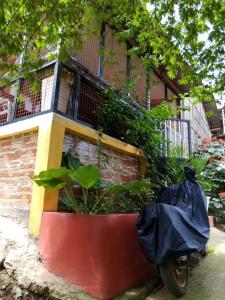 a pot with plants in it next to a building at Laguerta Tahas House in Cebu City