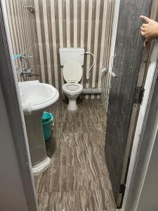a bathroom with a toilet and a sink at Bagaicha Farms in Tādong