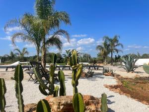 a park with cacti and benches and palm trees at CasapiuHolidaySicilia - Adults Only in Noto +80 photos