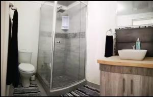a bathroom with a shower and a toilet and a sink at Memoirs in Cape Town in Zeekoevlei