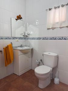 a white bathroom with a toilet and a sink at Nature in Tejeda in Tejeda +33 photos