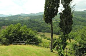 Táj Show holiday homes közelében