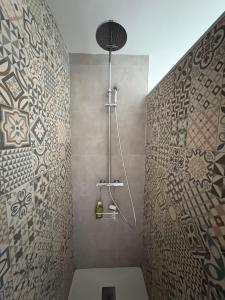 a bathroom with a shower with a shower head at L'Opale in Wimereux +5 photos