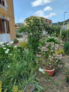 a garden with flowers and plants in front of a building at beb san Nicola in Ortueri
