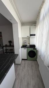a kitchen with a stove and a green oven at Luxury Lion Crib in Bacău