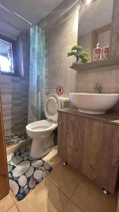 a bathroom with a toilet and a sink at Klima in Vrísai