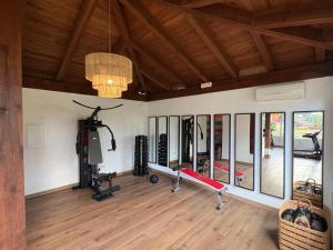 a fitness room with a gym with a ceiling at Hotel Boutique Palacio del Moral in Ronda