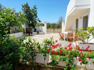 a patio with red flowers and plants at Agriturismo Tenuta La Siesta in Gallipoli