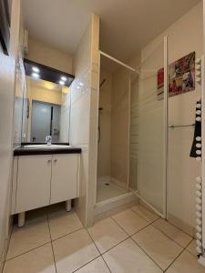 a bathroom with a shower and a sink at 31 Bd De Launay in Nantes