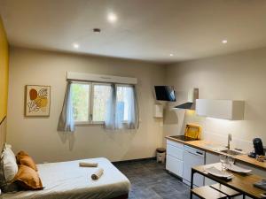 a room with a bed and a desk and a kitchen at Le Petit Francillon in Villebarou +19 photos