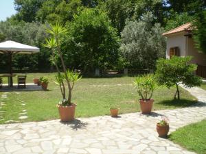 a patio with three potted plants and a yard at Dodis Village in Platanias