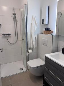 a bathroom with a shower and a toilet and a sink at Ostseeblick Apartment 2 in Scharbeutz +8 photos