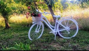 a white bike parked in the grass with a basket at B&B Romy House in Pianopoli