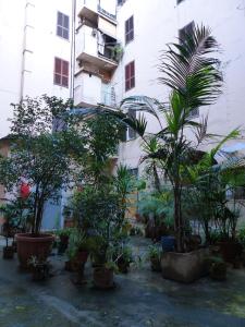 A garden outside Between Termini & Colosseo