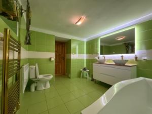a green bathroom with a toilet and a sink at Chalupa pod Kralickým Sněžníkem in Staré Město +49 photos