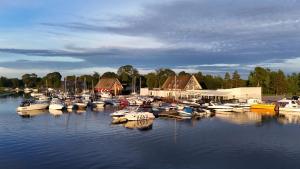 Naturlandskabet i nærheden af feriehuset