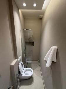 a small bathroom with a toilet and a shower at Apartment 27 in Elbasan