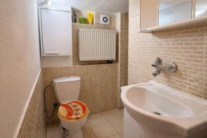 a small bathroom with a toilet and a sink at Kovárna Klapý pod Hazmburkem - České středohoří in Klapý
