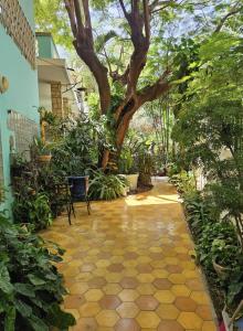a walkway with a tree in the middle of a building at Villa La Drianké in Dakar