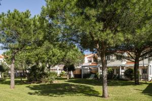 a group of trees in front of a house at Balconera 104 in Novo Sancti Petri