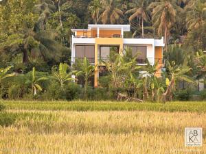 a house in the middle of a rice field at The Paddy Breeze Villa in Marukwatura