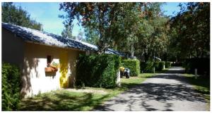 a white house with a tree and a street at Camping des Cèpes in La Salvetat