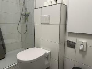 a white bathroom with a toilet and a shower at Gästehaus Ludwig in Rust