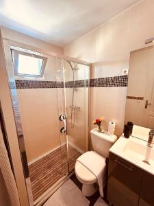 a bathroom with a shower and a toilet and a sink at La Madrague, Studio vue mer, Centre historique in Sainte-Maxime +6 photos