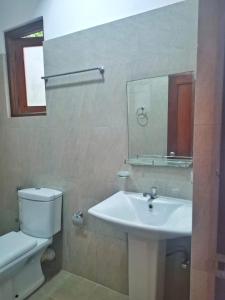 a bathroom with a sink and a toilet and a mirror at Banana Leaf Villa in Nikawatawana