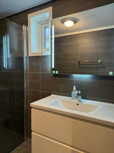 a bathroom with a sink and a shower at Trysil Central Villa in Trysil +22 photos