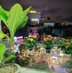 a group of potted plants on a balcony at night at Khoi Nguon in Danang +4 photos