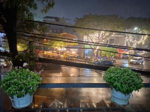 two potted plants on a ledge with a city street at Khoi Nguon in Danang