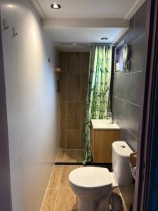 a bathroom with a toilet and a sink and a shower at B&B Het Oude Dorpscafé in Zorgvlied