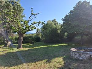 a yard with a tree and a fire pit at SAINT-FLORENT Studio PISCINE FLO300-146 in Saint-Florent