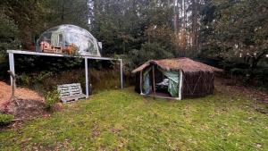 a gazebo and a greenhouse in a yard at Selfmade Yurt - NaturViana in Viana do Castelo