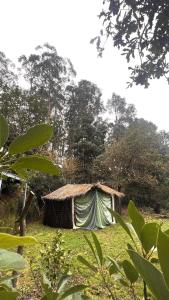 a small hut in a field with trees at Selfmade Yurt - NaturViana in Viana do Castelo