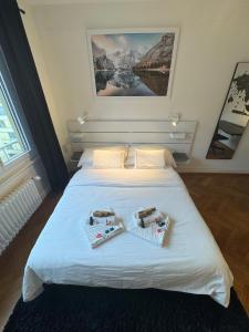 a bedroom with a bed with two baskets on it at Cosy studio in Lausanne Flon in Lausanne