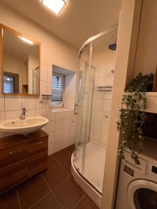 a bathroom with a shower and a sink at Ferienwohnung Am Schleizer Dreieck in Schleiz +10 photos