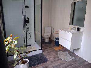a bathroom with a shower and a toilet and a sink at La maison du Thoré in Saint-Amans-Valtoret +16 photos