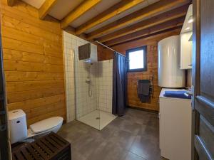 a bathroom with a toilet and a shower in a room at Aux Gîtes d'Orient in Géraudot +43 photos