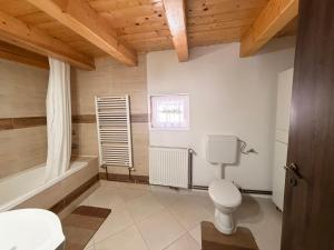 a bathroom with a toilet and a bath tub at Medelore Cottage in Medişoru Mare +16 photos
