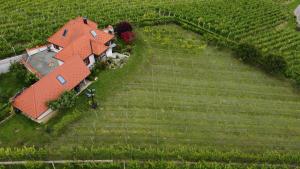 an aerial view of a house in a field at Villa Lotus in Štrigova
